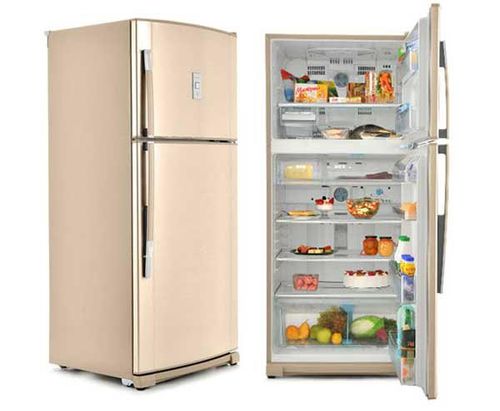 Выбираем холодильник с лучшим климатическим классом 